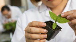 BASF France division Agro en bref