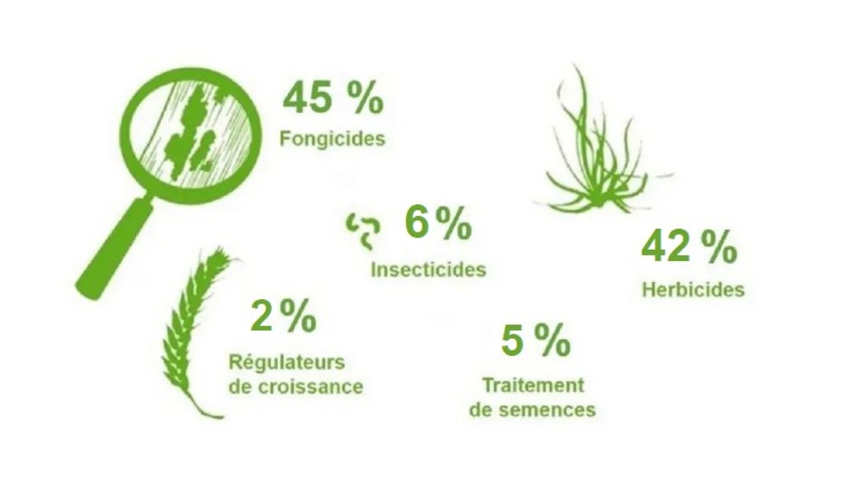 répartition du chiffres d'affaires basf par famille de produits