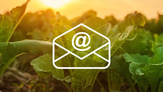 Inscrivez-vous à Info’risque betterave – alerte cerco et recevez un email dès que les seuils de risque sont atteints sur votre territoire. 