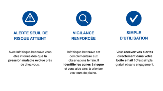 bénéfices inforisque betteraves