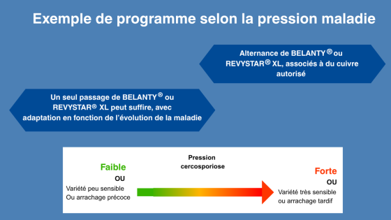 pression maladies