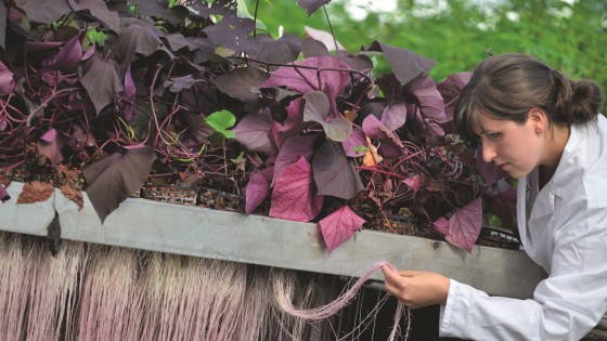 investissements basf agriculture biocontrôle