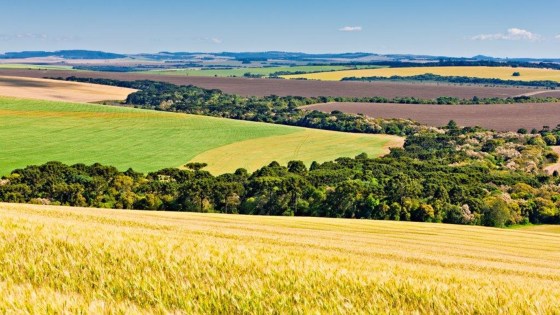 Le biocontrôle, solution de protection agroécologique des cultures