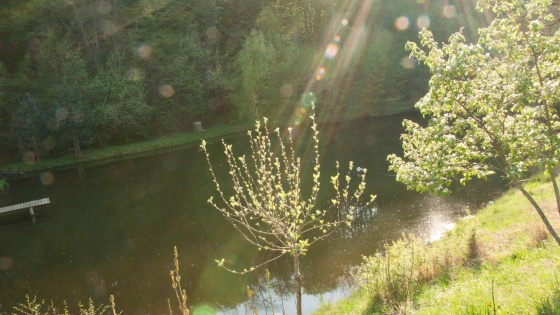 biodiversité aménagement mares