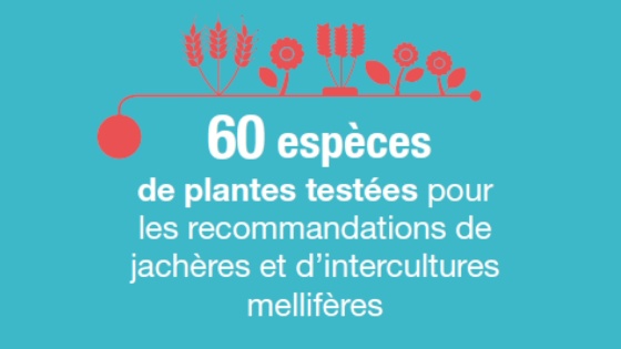 60 espèces de plantes testées