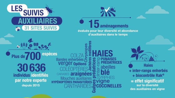 Suivis auxiliaires