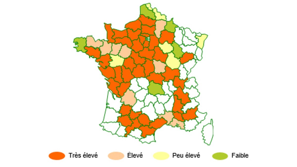 Présence du ray-grass en France – source enquête AdQuation