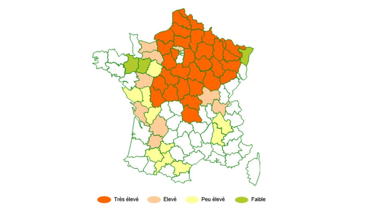 Présence du vulpin en France – source enquête AdQuation