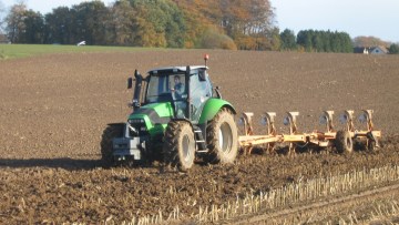 Quels leviers agronomiques pour faciliter le désherbage du blé ?