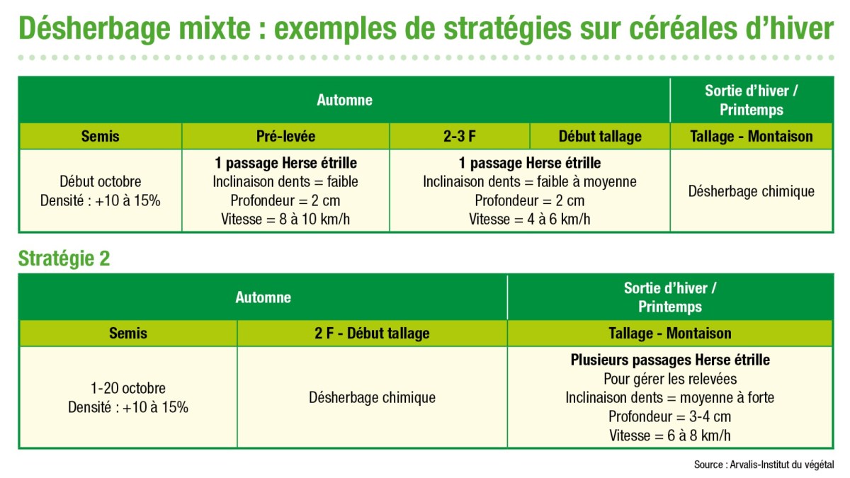 Désherbage mixte exemples de stratégies sur blé d’hiver