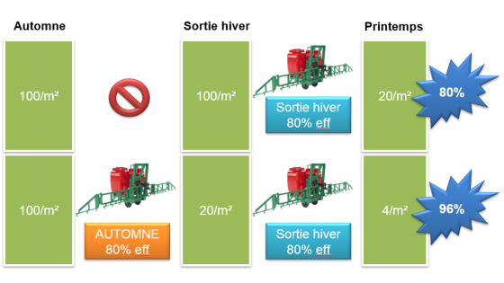 Efficacité théorique d'un programme de désherbage à l'automne