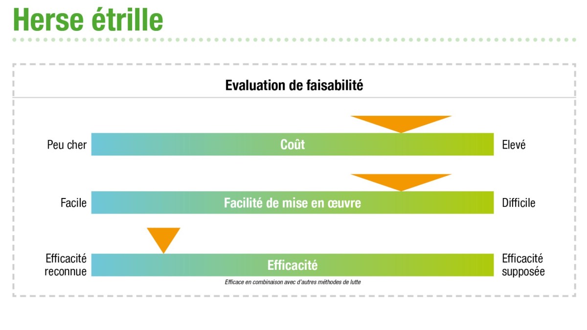 Désherbage mécanique – évaluation de faisabilité herse étrille