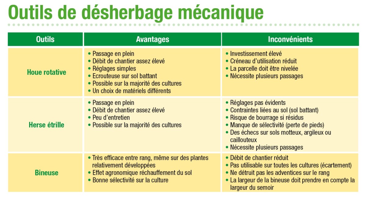 Outils de désherbage mécanique du blé