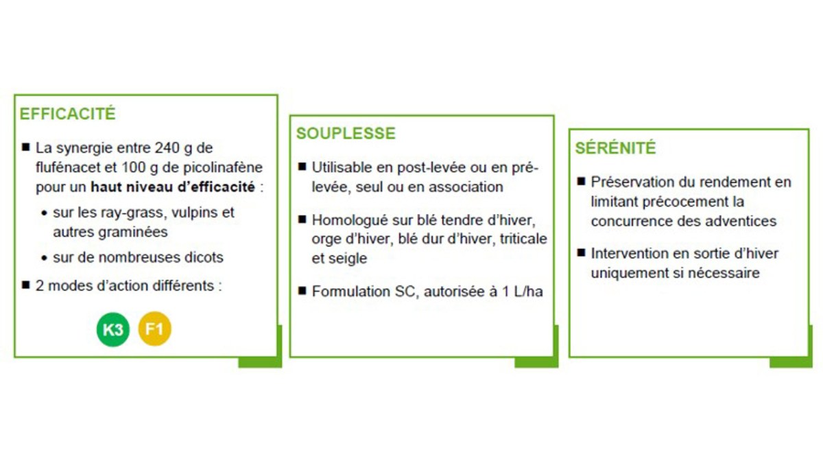 crespa efficacité, souplesse et sérénité désherbage céréales