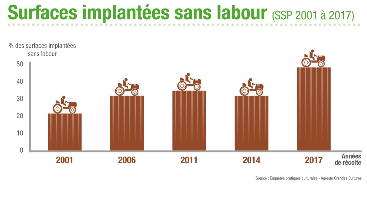 Surface françaises implantées sans labour par culture
