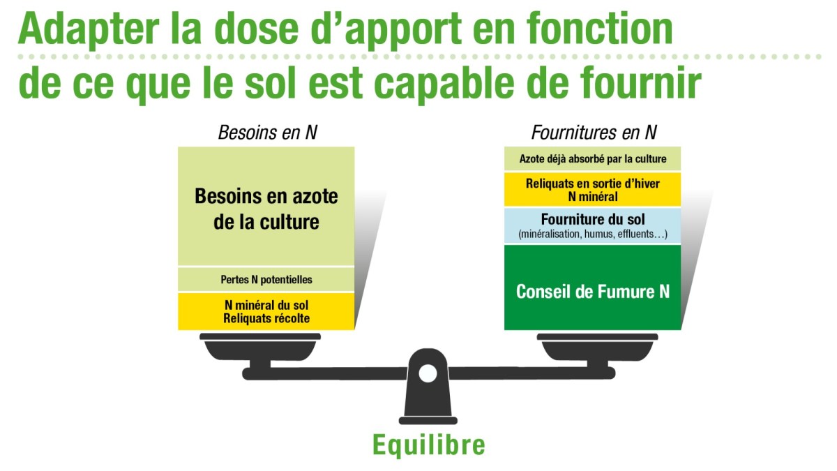 Comment adapter la dose d'azote en fonction des besoins du sol