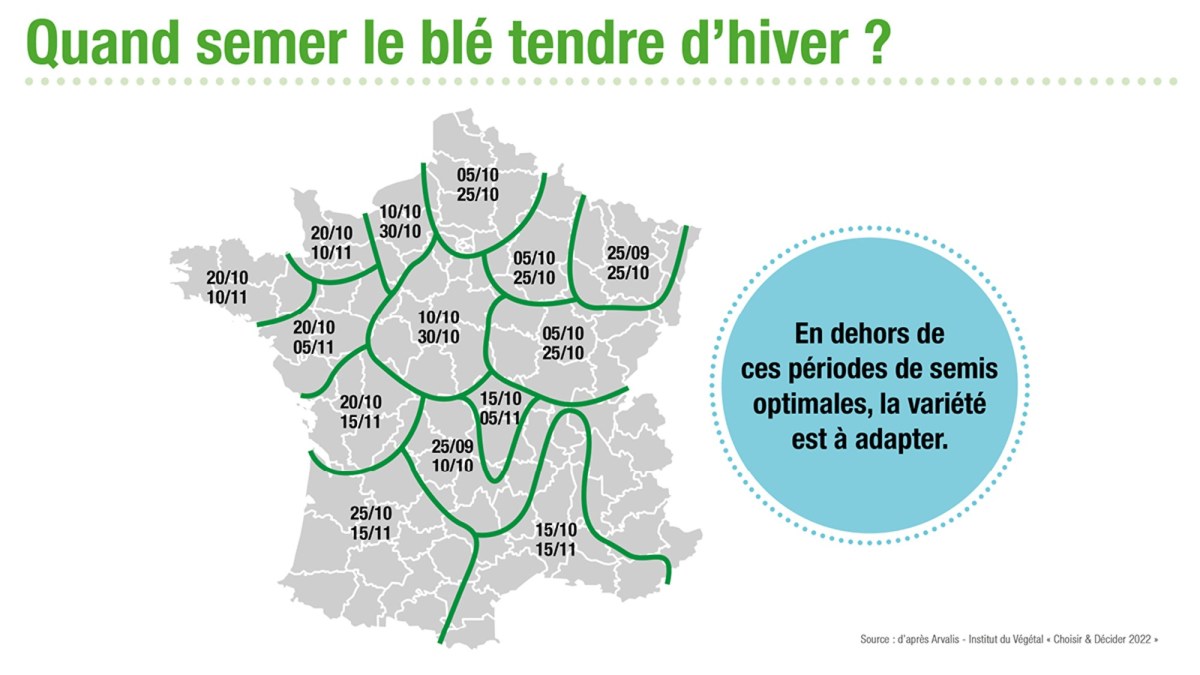 Dates de semis de blé en hiver en France