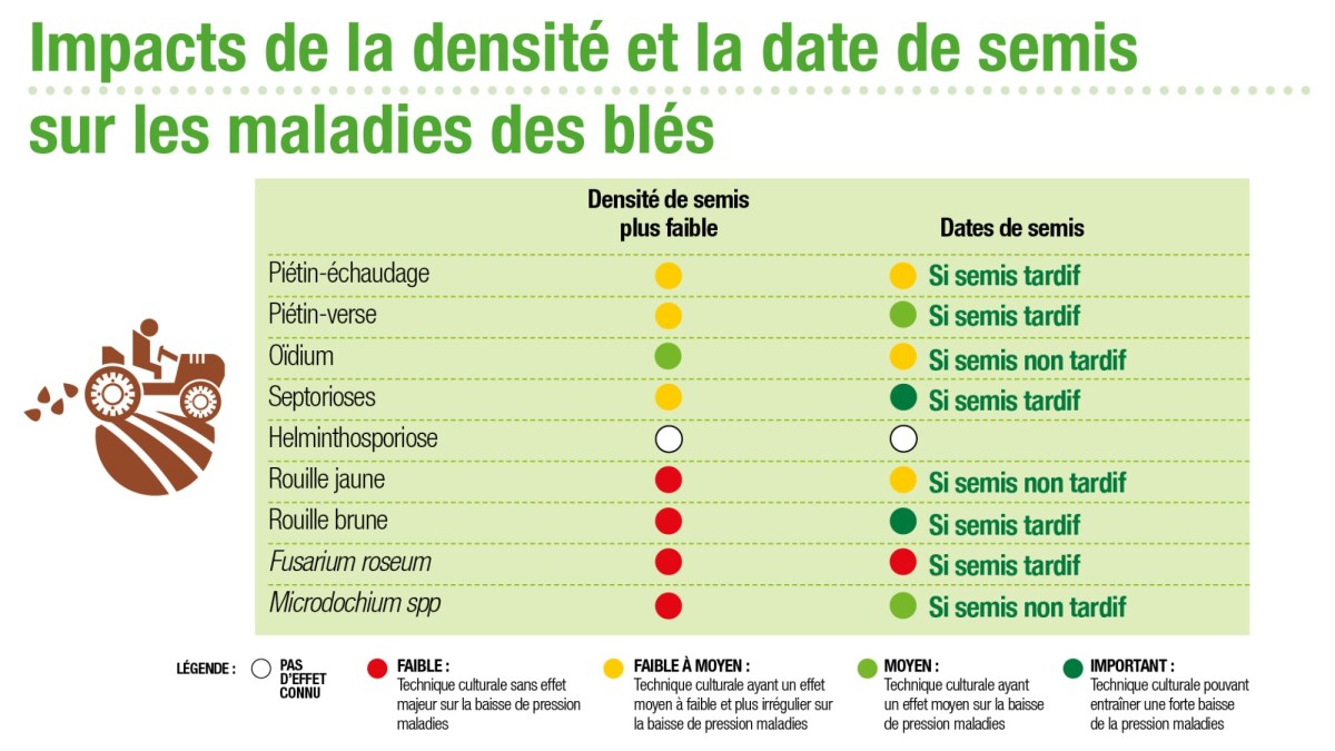 Impact de semis sur les principales maladies des blés