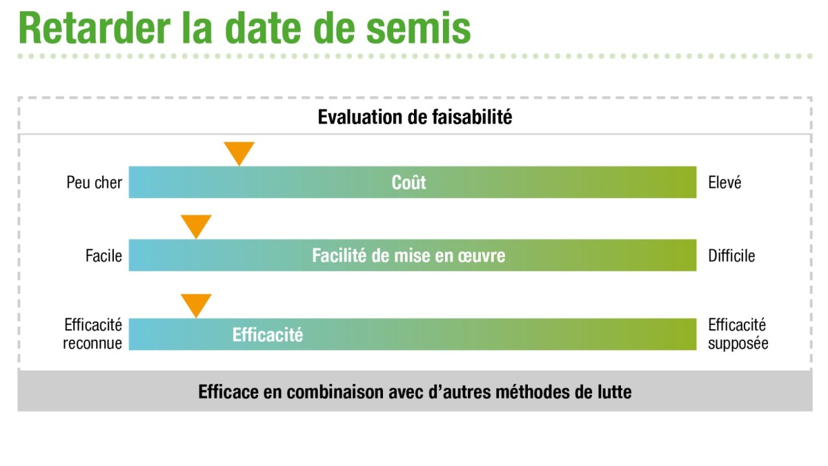 Evaluation de faisabilité de retarder la date de semis de blé