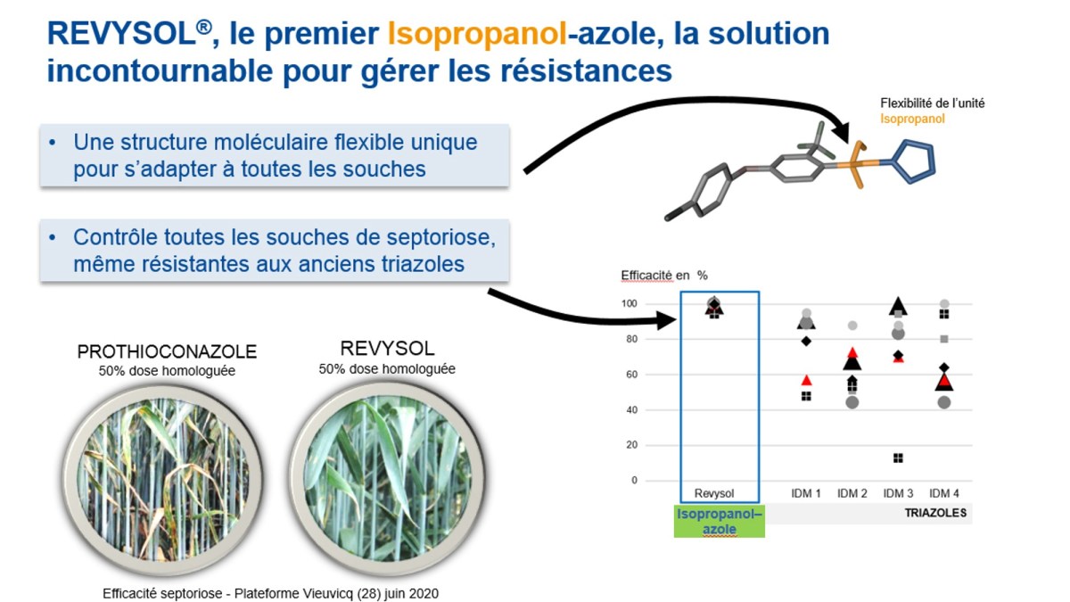 Revysol, solution incontournable pour gérer les résistances