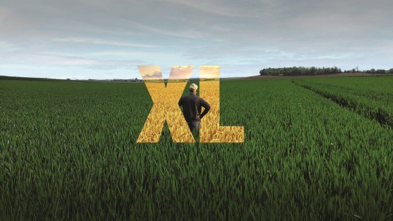 Revystar® XL à base de Revysol, le pilier de la protection foliaire de vos céréales