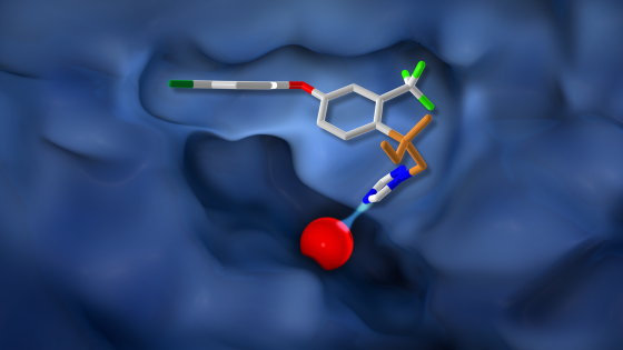 Tout savoir sur Revysol®, la substance active qui fait la différence