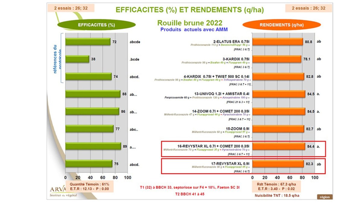 Revystar XL : résultats 2022 sur rouille brune