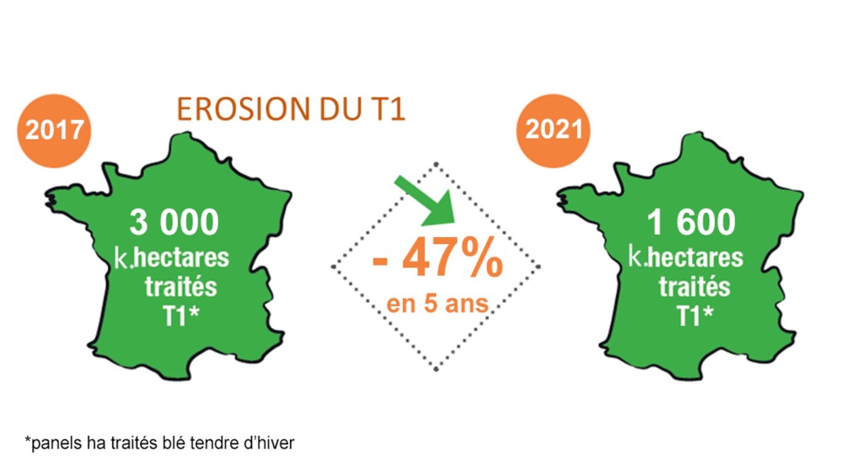 Suppression du T1 avec Revystar XL