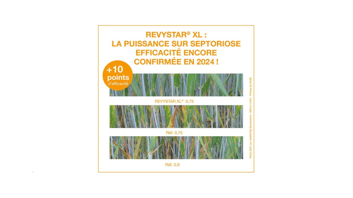 revystar xl, performance exceptionnelle sur septoriose