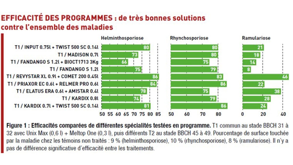 Revystar® XL + Comet® 200 : efficacité sur orges