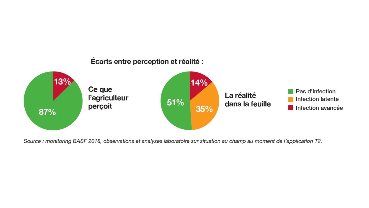 écarts entre perception et réalité