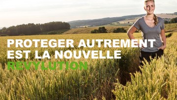 Revystar® XL, le nouveau pilier de votre protection fongicide céréales