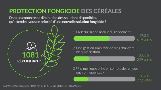 le rendement : premier enjeu de la protection fongicide