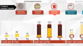 Protection fongicide : quels gains attendre du T1, du T2 et du T3 ?