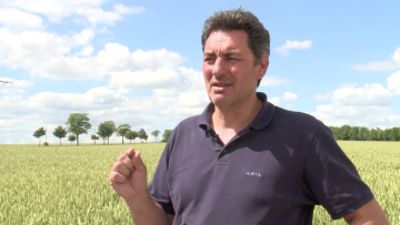  « Face aux souches résistantes de septoriose, j’attends de nouvelles variétés de blé et de nouvelles molécules fongicides. »