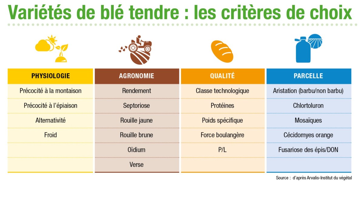 Les critères de choix d'un bouquet de variété de blé