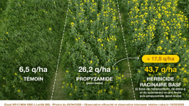Utilisation d'herbicides racinaires : les bonnes pratiques
