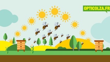 Protection de la culture du colza et des abeilles