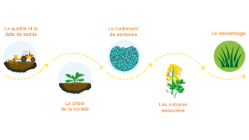 L’utilisation des produits de biocontrôle pour une protection agroécologique