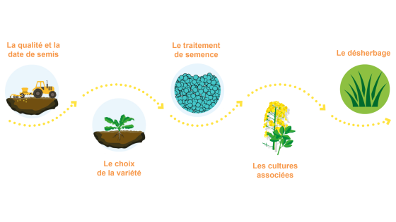 L’utilisation des produits de biocontrôle pour une protection agroécologique