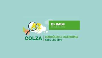 Comment contrôler le sclérotinia avec les SDHI ?