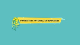 Convertir le potentiel en rendement