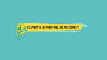 Convertir le potentiel en rendement