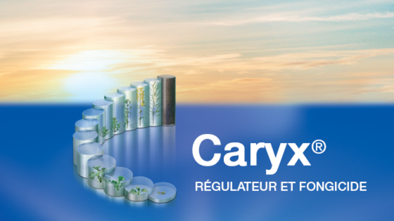 Découvrir notre solution de régulation