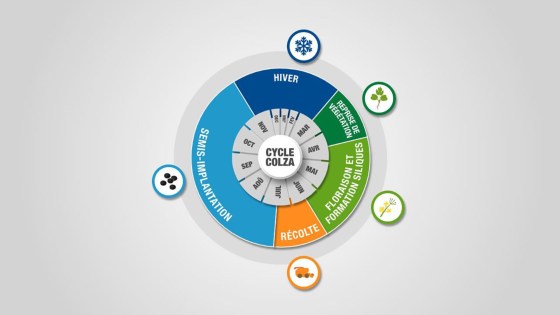 Découvrez les enjeux du moment dans la conduite de culture et nos conseils associés