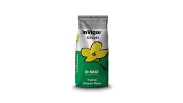 Variété InVigor Chopin®