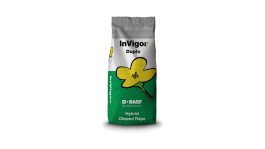 Variété InVigor Duplo®