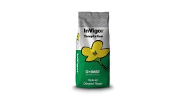 Pourquoi choisir une semence hybride de colza InVigor ?