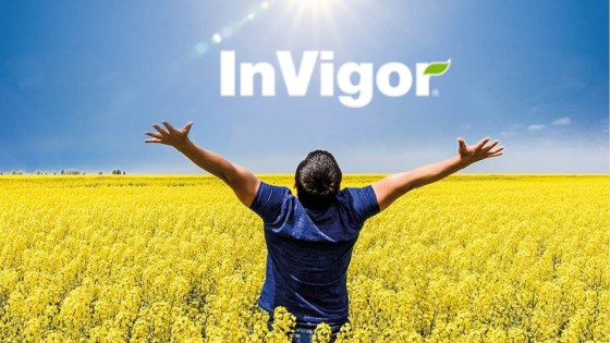 Pourquoi choisir une semence hybride de colza InVigor ?