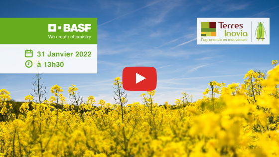 Webinaire 31/01/2022 - Colza & Agroécologie